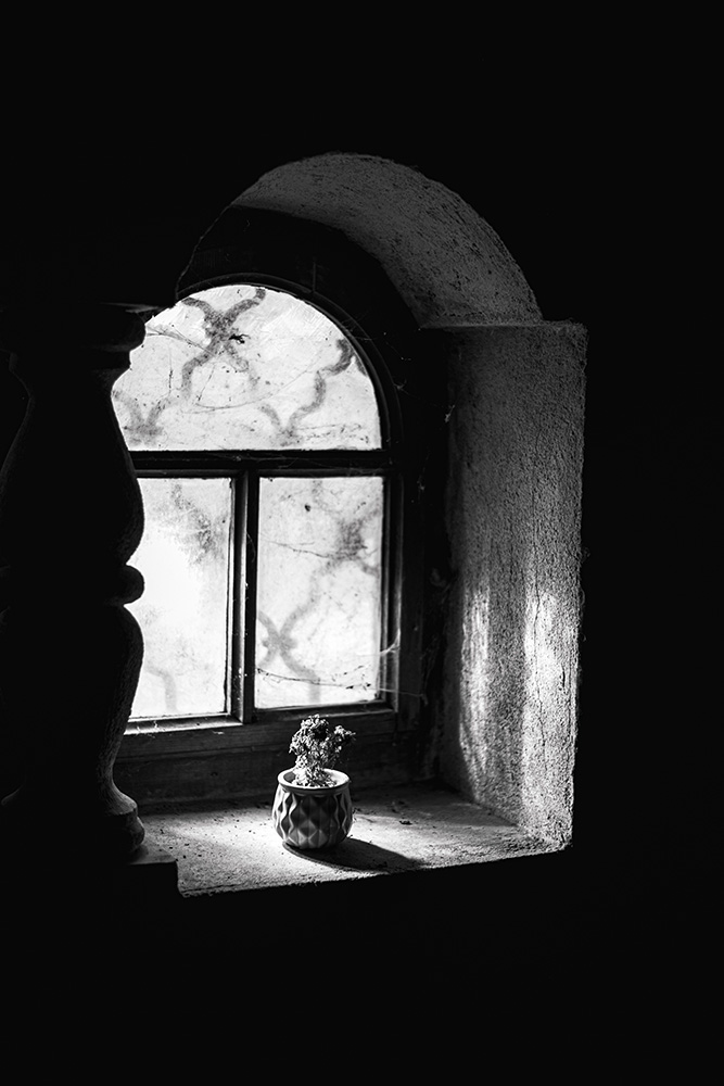 In the Shadow of Light Jakob Platzer